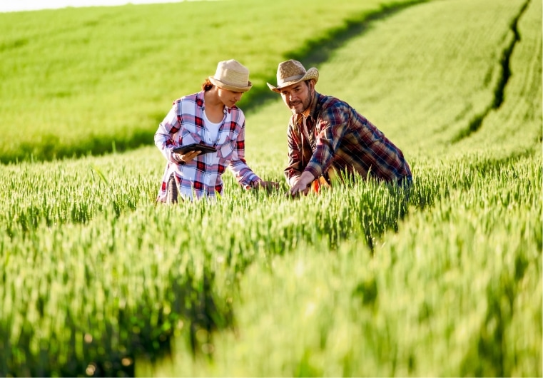 2 Agricultural workers in field